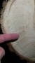 imag0224.jpg