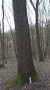 img_20180115_150425.jpg